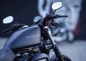 Harley-Davidson XL 883N Iron 883